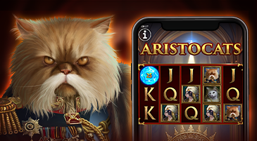 We are introducing another cat casino game - Aristocats!