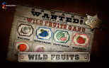 TOP FRUIT SLOTS 2020 | Try WILD FRUITS SLOT now!