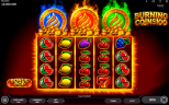 Play Burning coins 100 slot by top casino game developer!