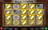 TOP FRUIT SLOTS 2020 | Try WILD FRUITS SLOT now!