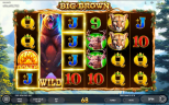 Play Big Brown slot by top casino game developer!