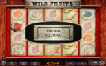 TOP FRUIT SLOTS 2020 | Try WILD FRUITS SLOT now!