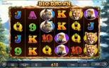 Play Big Brown slot by top casino game developer!