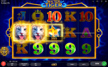 iGAMING PROVIDER 2021 | Water Tiger slot is released by Endorphina