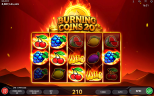 Play Burning Coins 20 slot by top casino game developer!