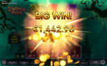 Play 3 Witch Pots slot by top casino game developer!