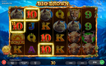 Play Big Brown slot by top casino game developer!