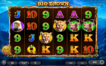 Play Big Brown slot by top casino game developer!