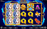 iGAMING PROVIDER 2021 | Water Tiger slot is released by Endorphina