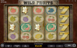 TOP FRUIT SLOTS 2020 | Try WILD FRUITS SLOT now!