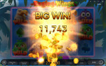 Play Raging Wings slot by top casino game developer!