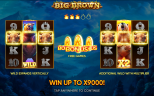 Play Big Brown slot by top casino game developer!