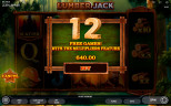 Play Lumber Jack slot by top casino game developer!