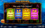 Play Big Brown slot by top casino game developer!