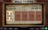 TOP FRUIT SLOTS 2020 | Try WILD FRUITS SLOT now!