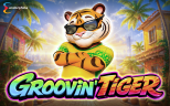 Play Groovin Tiger slot by top casino game developer!