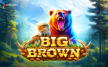 Play Big Brown slot by top casino game developer!